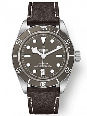 Tudor Black Bay 39mm M79010SG-0001