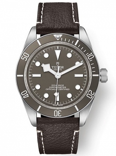 Tudor Black Bay 39mm M79010SG-0001