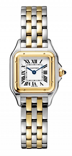 Cartier Panthere Steel Gold Small W2PN0006