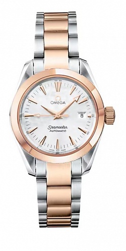 Omega Seamaster Aqua Terra Automatic 29,2mm 2373.70.00